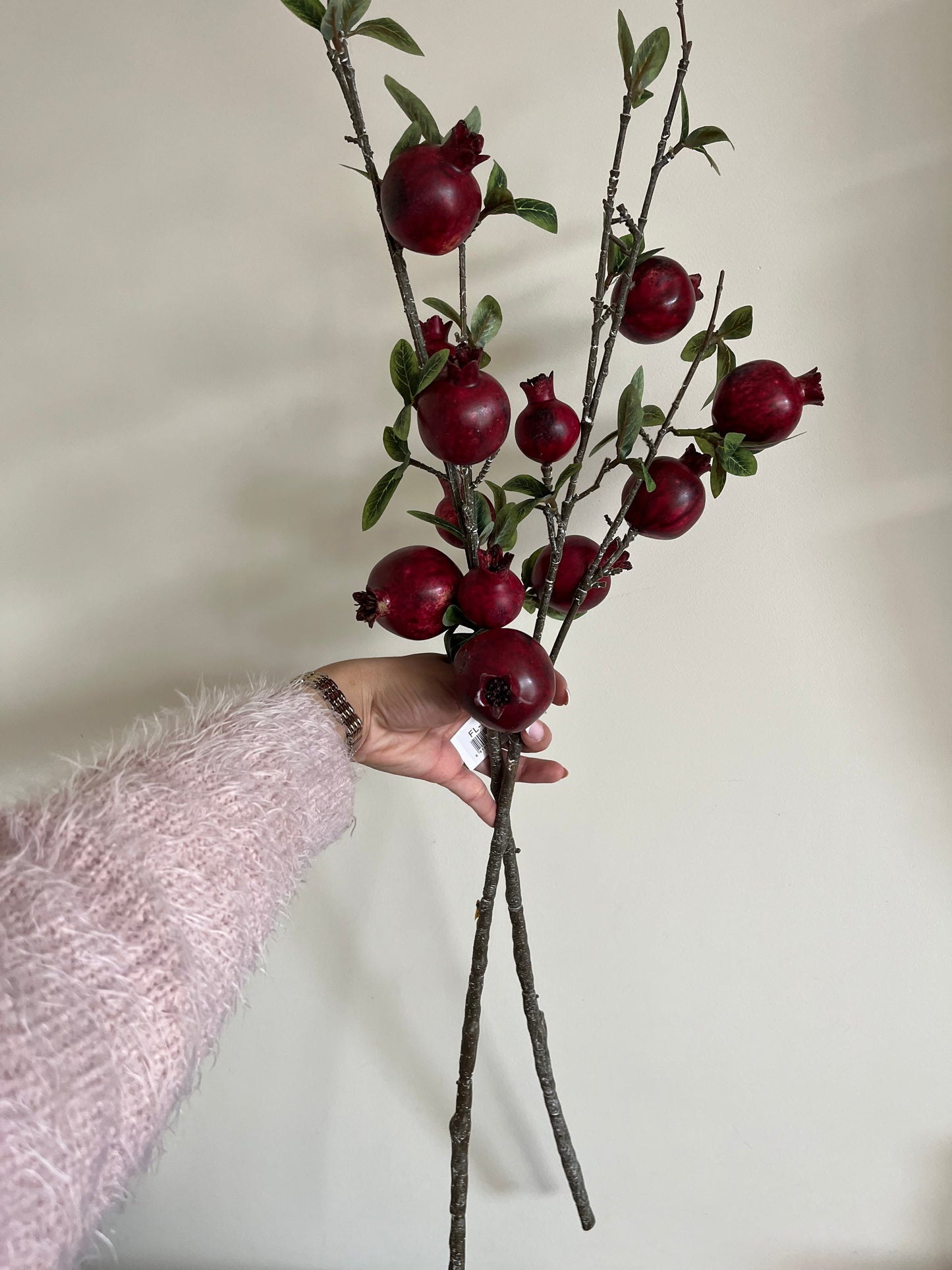 Pomegranate Branch
