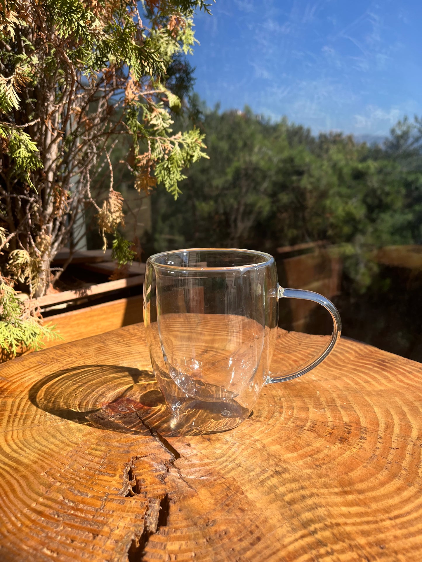 Double Glass Mug