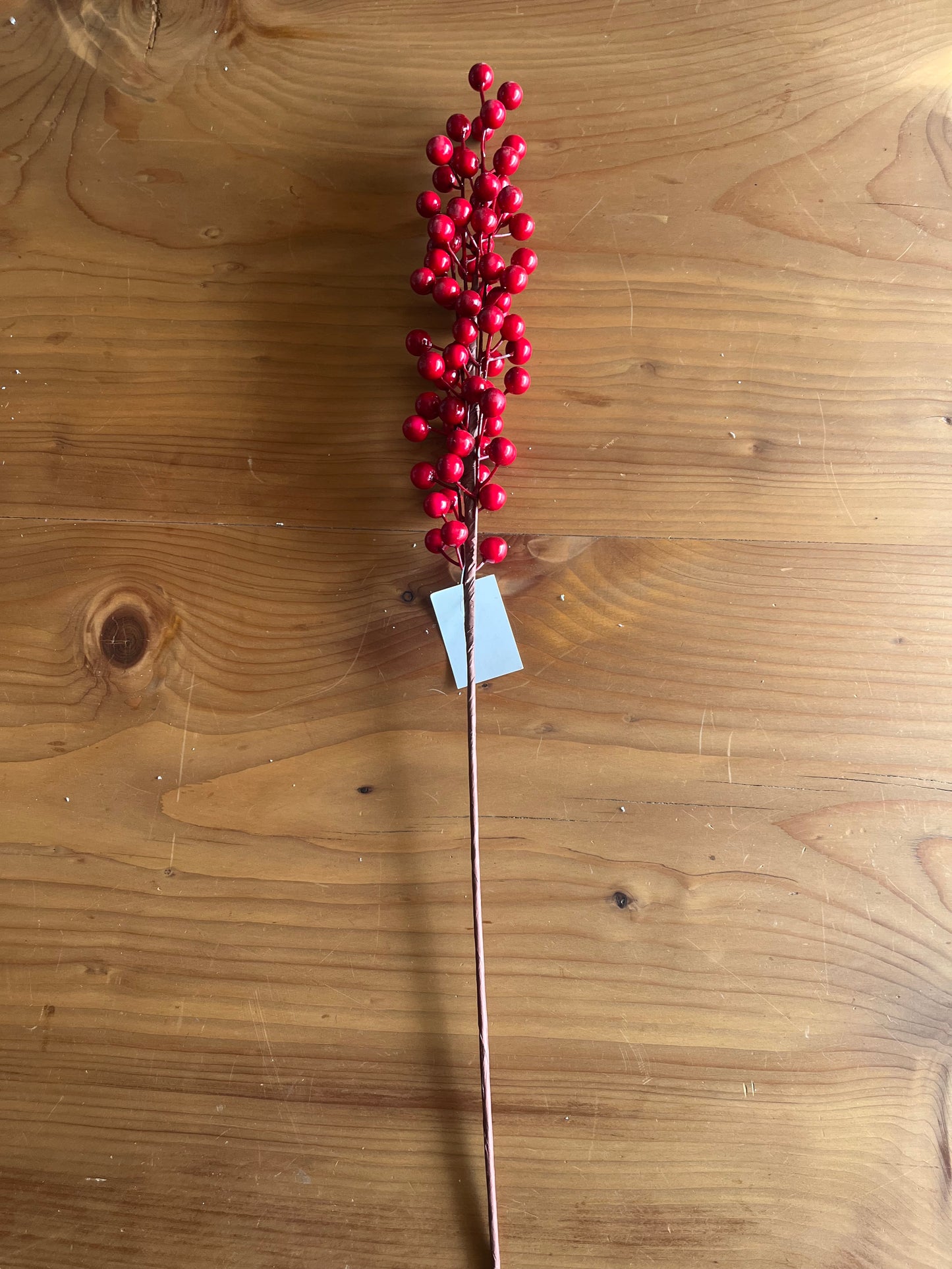 Christmas Red Berries Branches