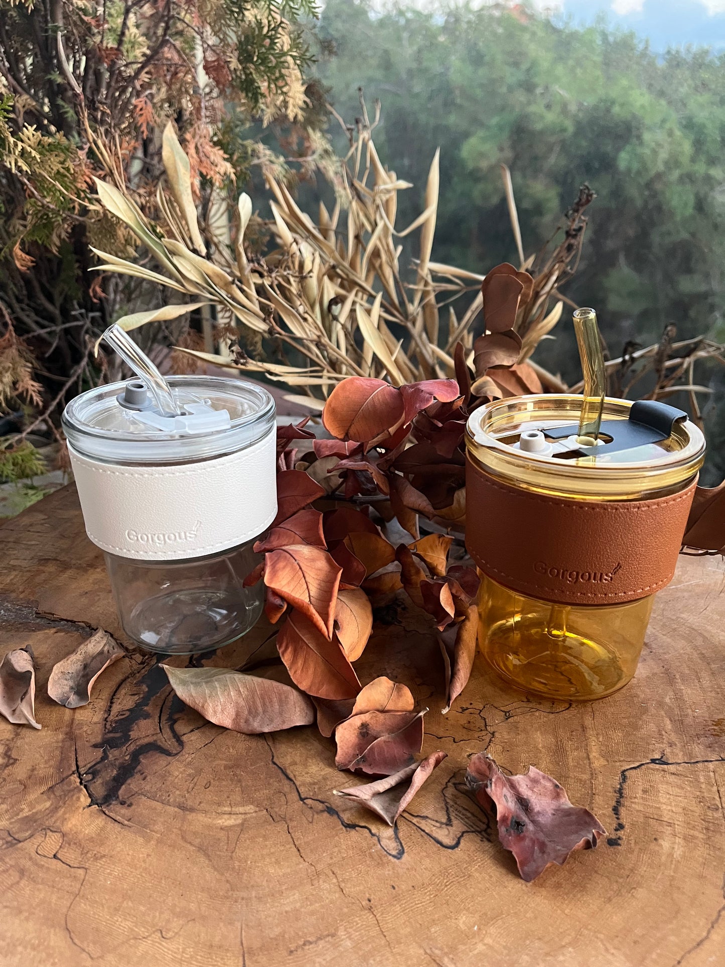 Glass Cups for Hot & Cold Drinks