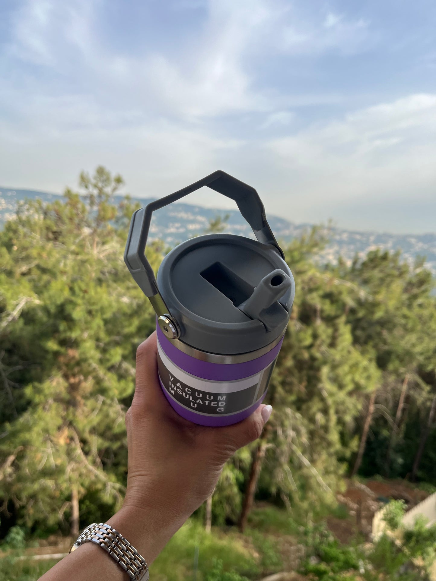 Insulated stainless cup