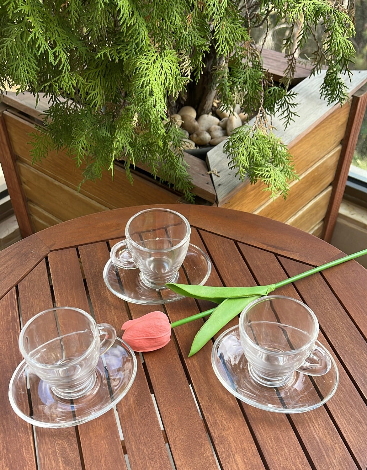 Coffee cups & saucers