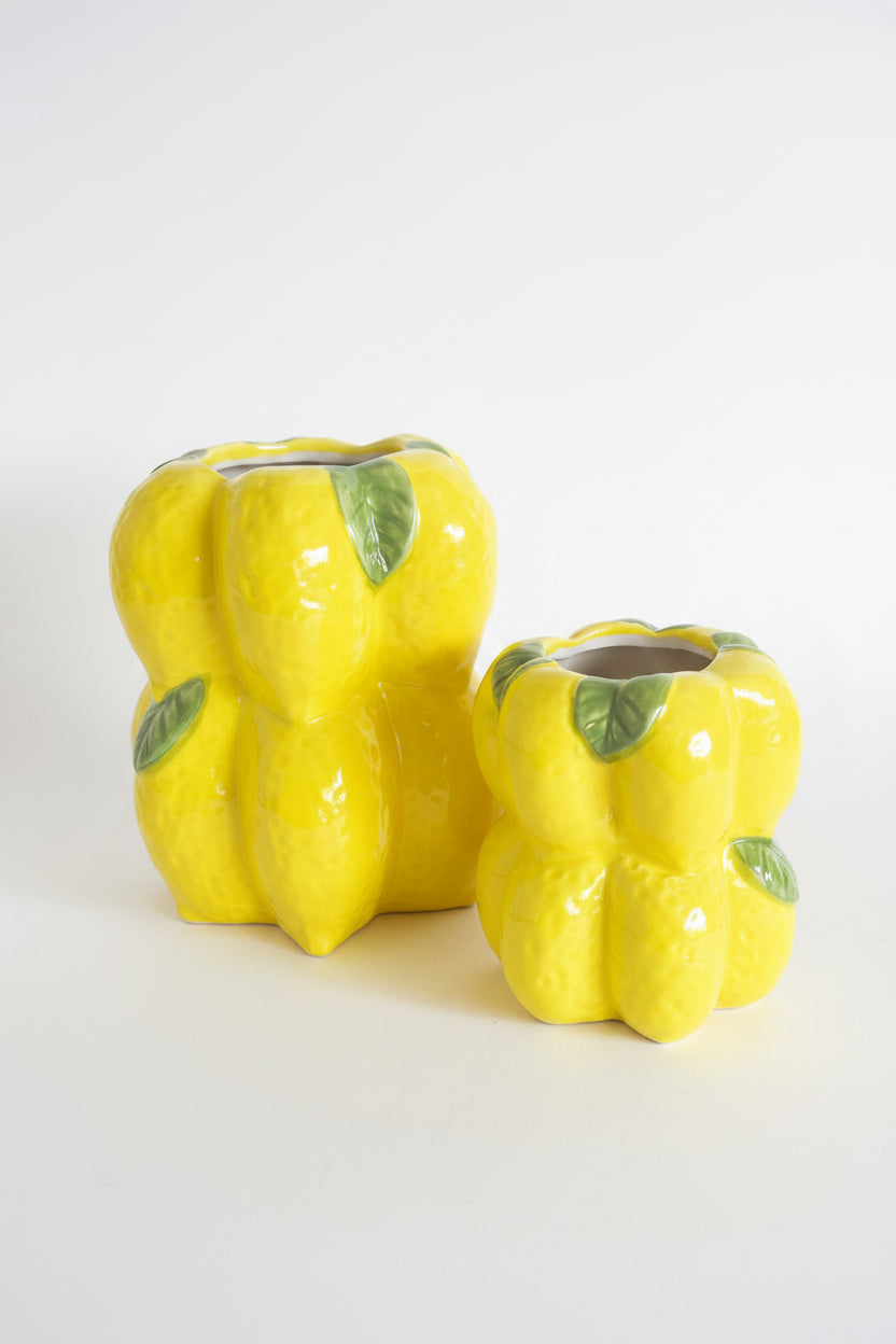 Lemon Decorative Collection🍋