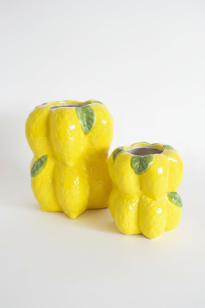 Lemon Decorative Collection🍋