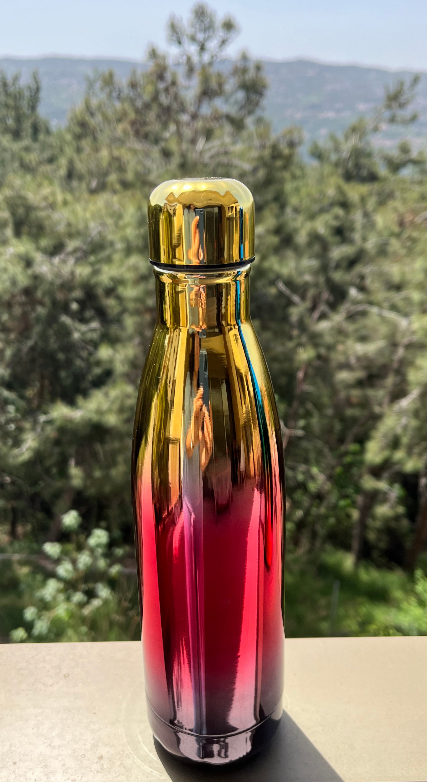 Insulated Rainbow Stainless Bottle