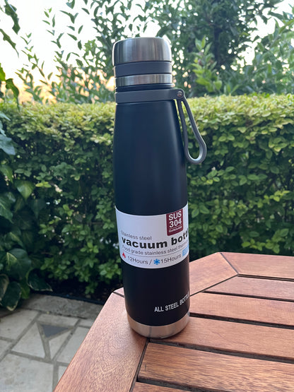 Insulated Stainless Bottle