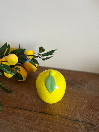 Lemon Decorative Collection🍋