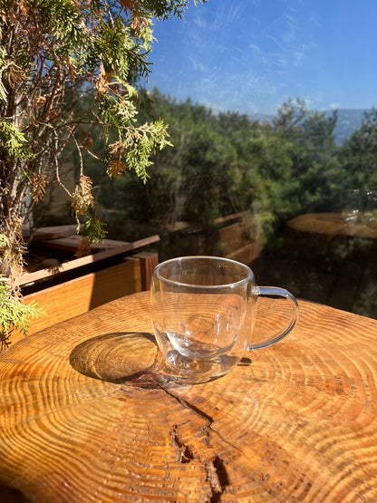Double Glass Mug