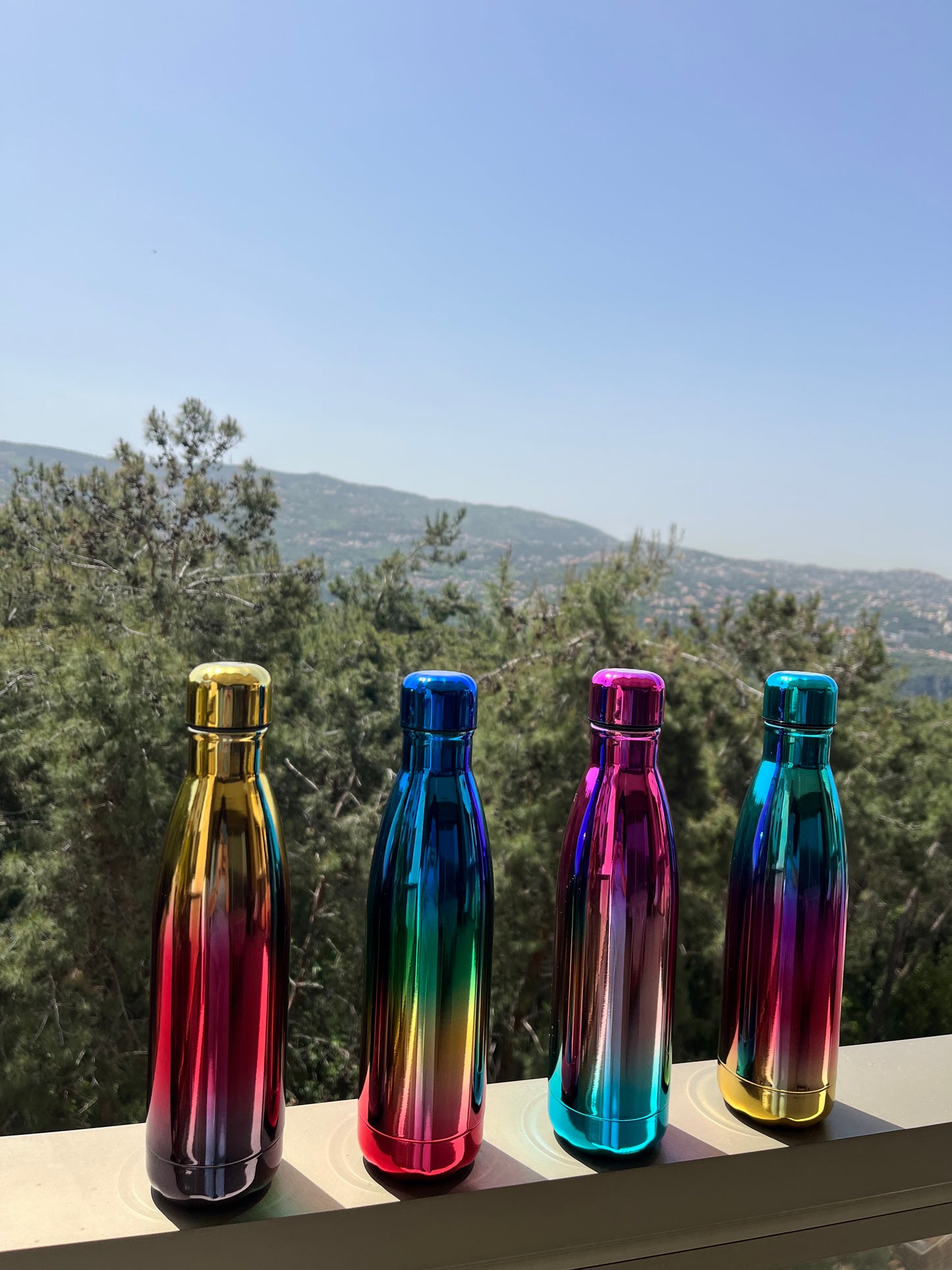 Insulated Rainbow Stainless Bottle