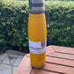 Insulated Stainless Bottle