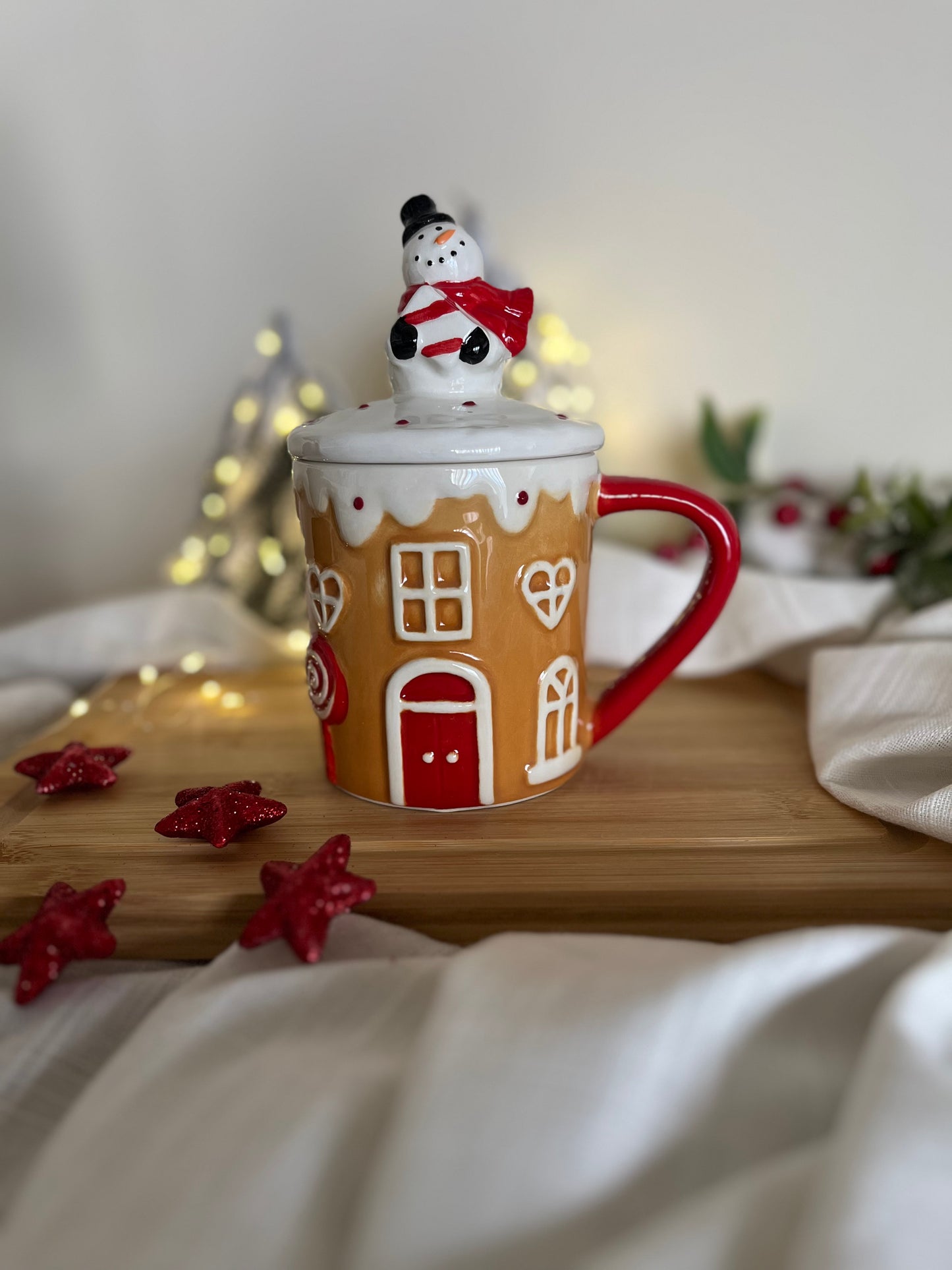 Christmas House Mug with Cover