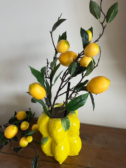 Lemon Branch 🍋