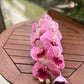 Orchid artificial flower