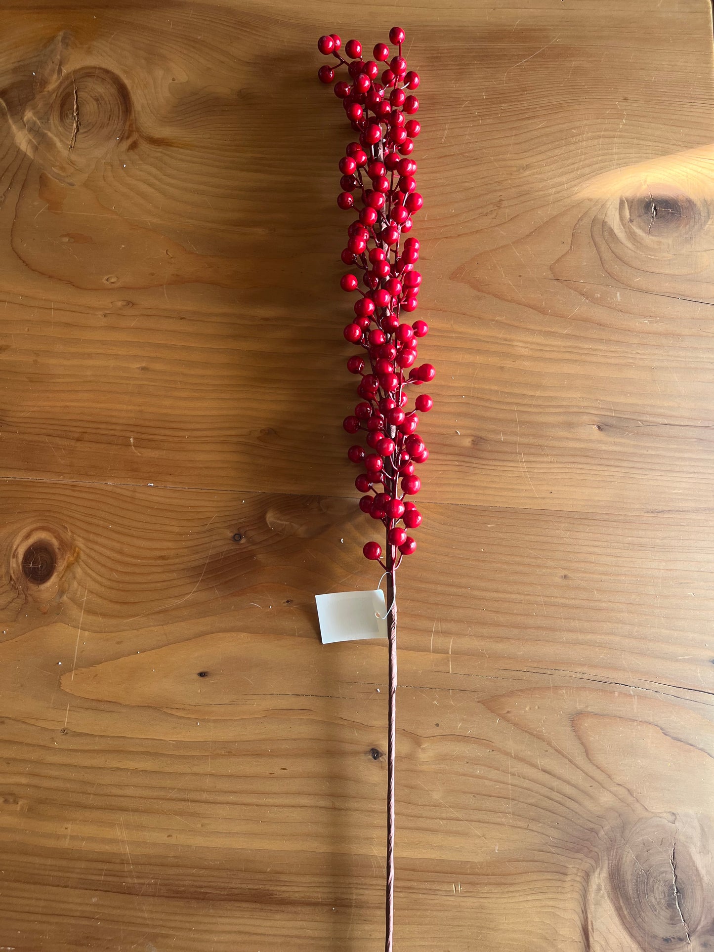 Christmas Red Berries Branches