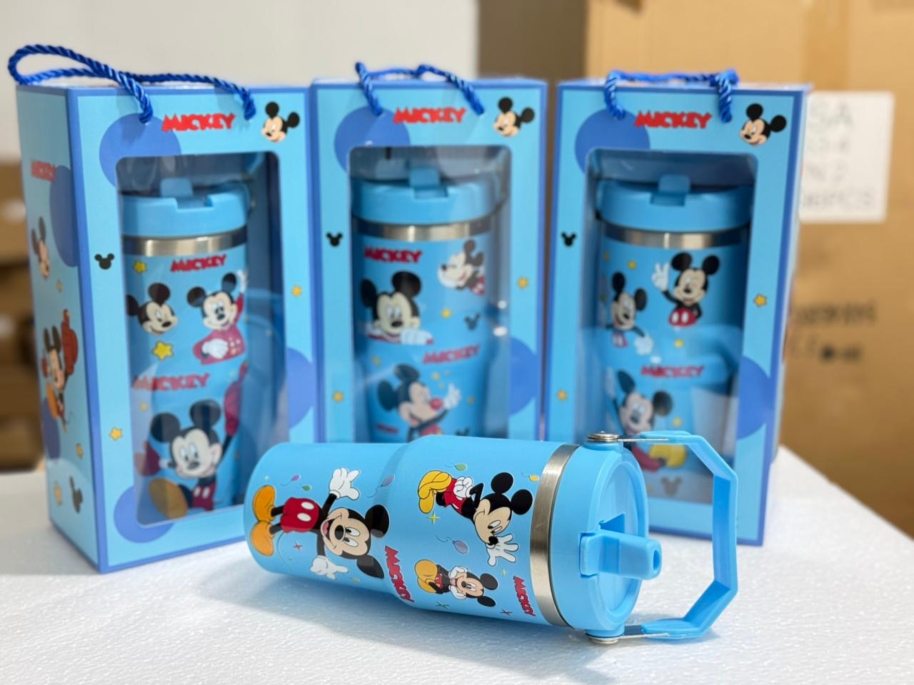 Kids Stainless Straw Bottle 650ml