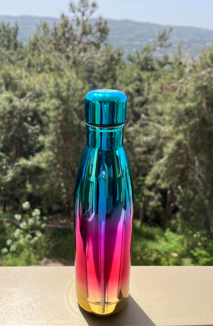 Insulated Rainbow Stainless Bottle
