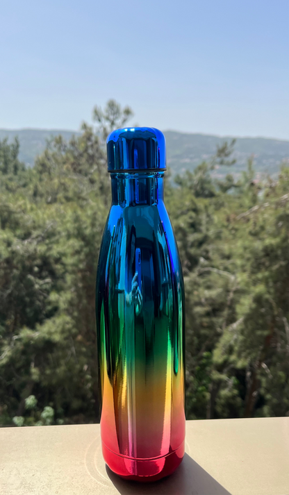 Insulated Rainbow Stainless Bottle