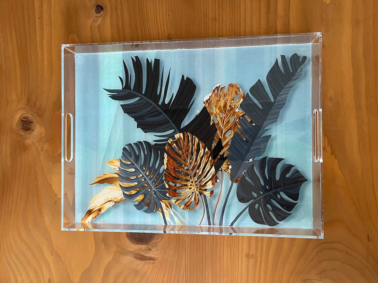 Plexi Tray