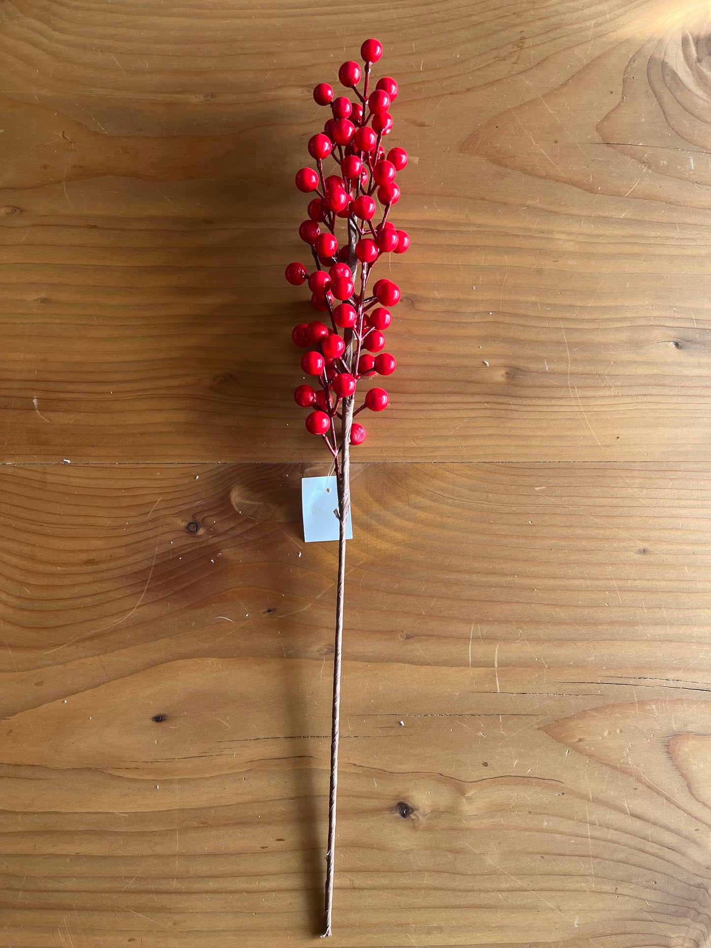 Christmas Red Berries Branches