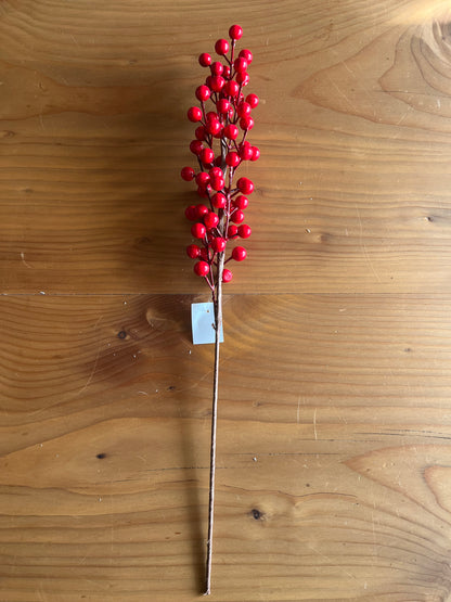 Christmas Red Berries Branches