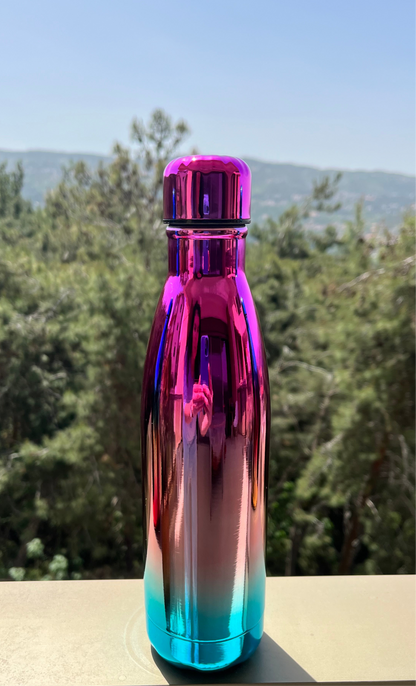 Insulated Rainbow Stainless Bottle