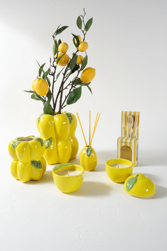 Lemon Decorative Collection🍋