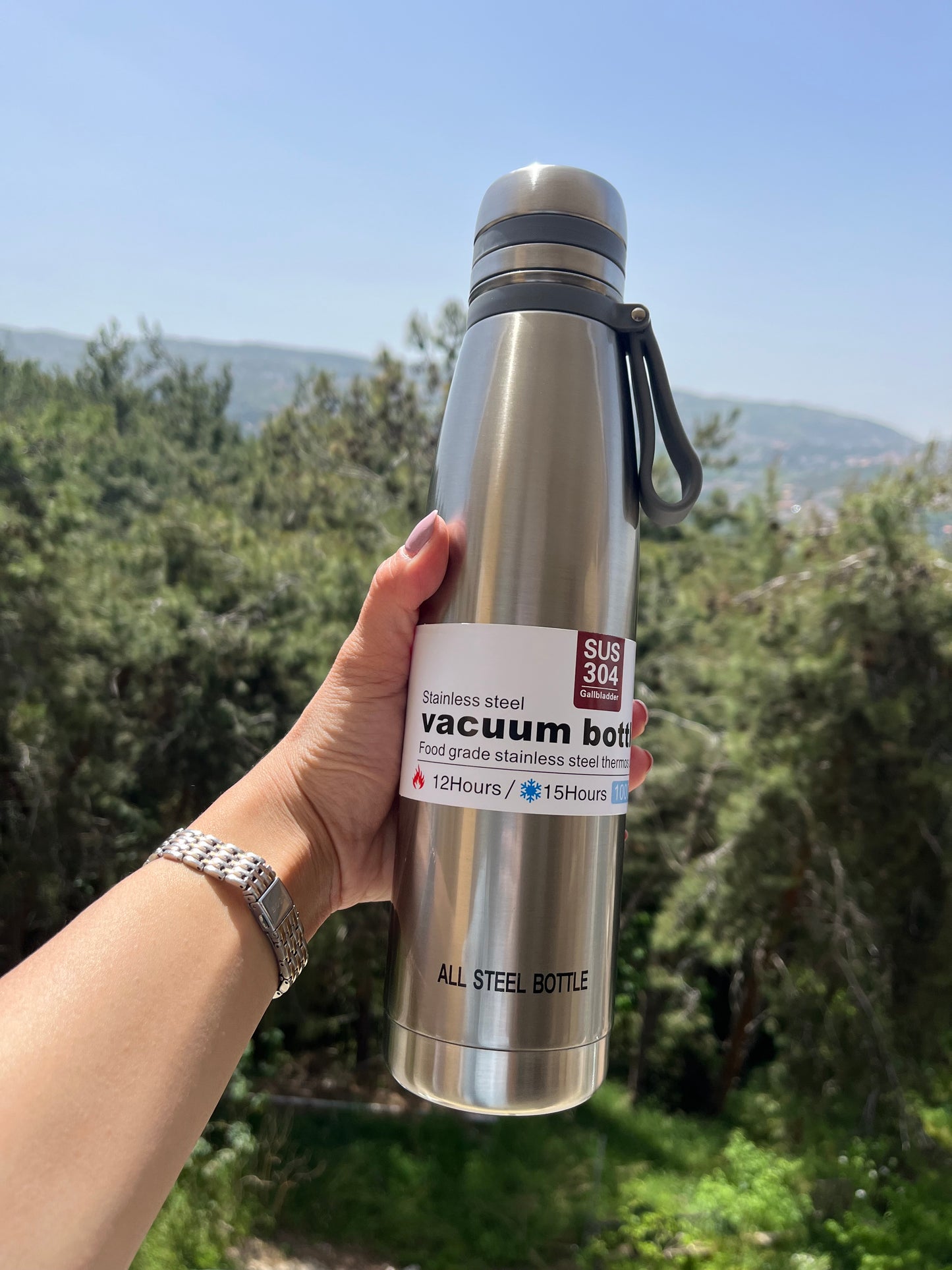 Insulated Stainless Bottle