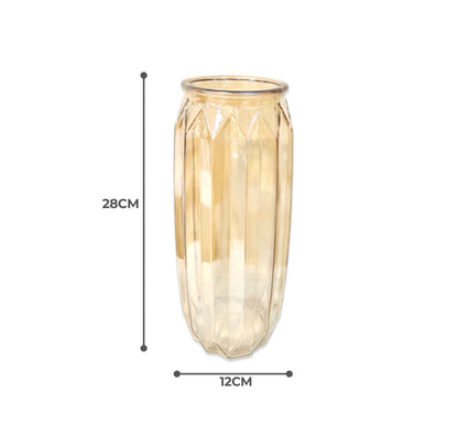 Transparent Glass Vase