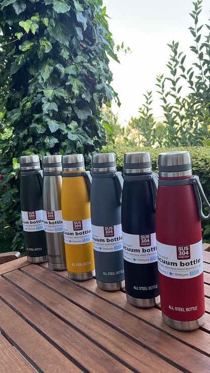 Insulated Stainless Bottle