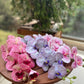 Orchid artificial flower