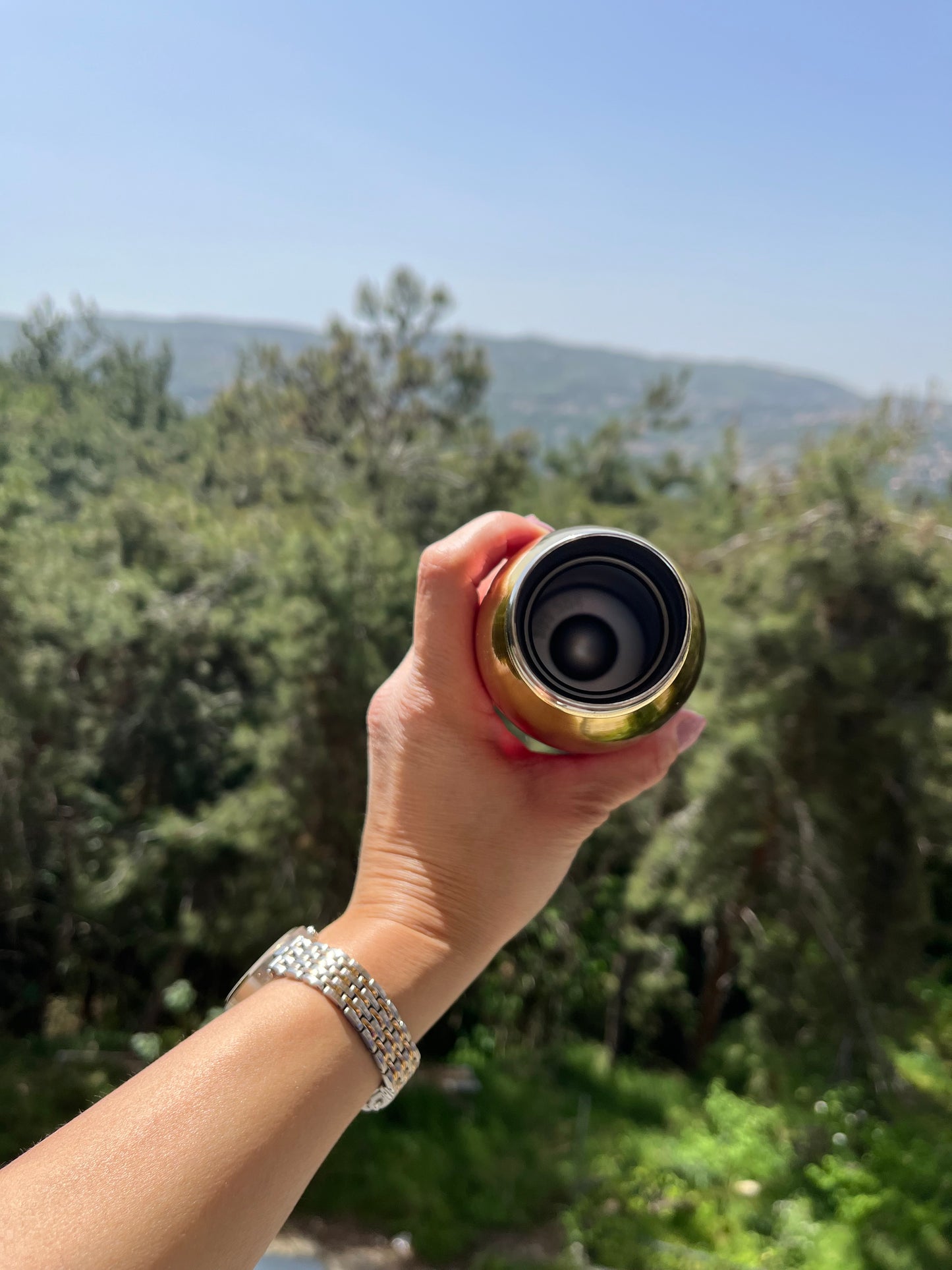 Insulated Rainbow Stainless Bottle