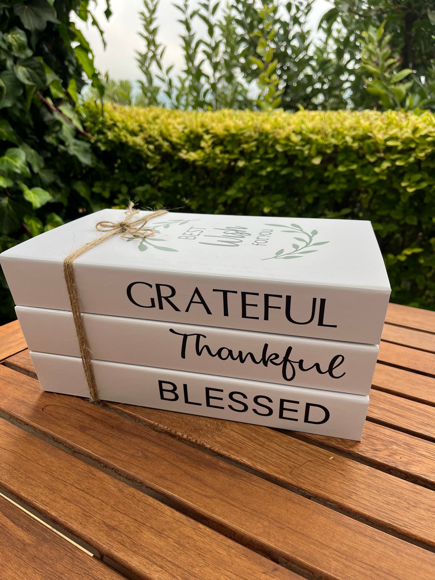 Decorative Books Set