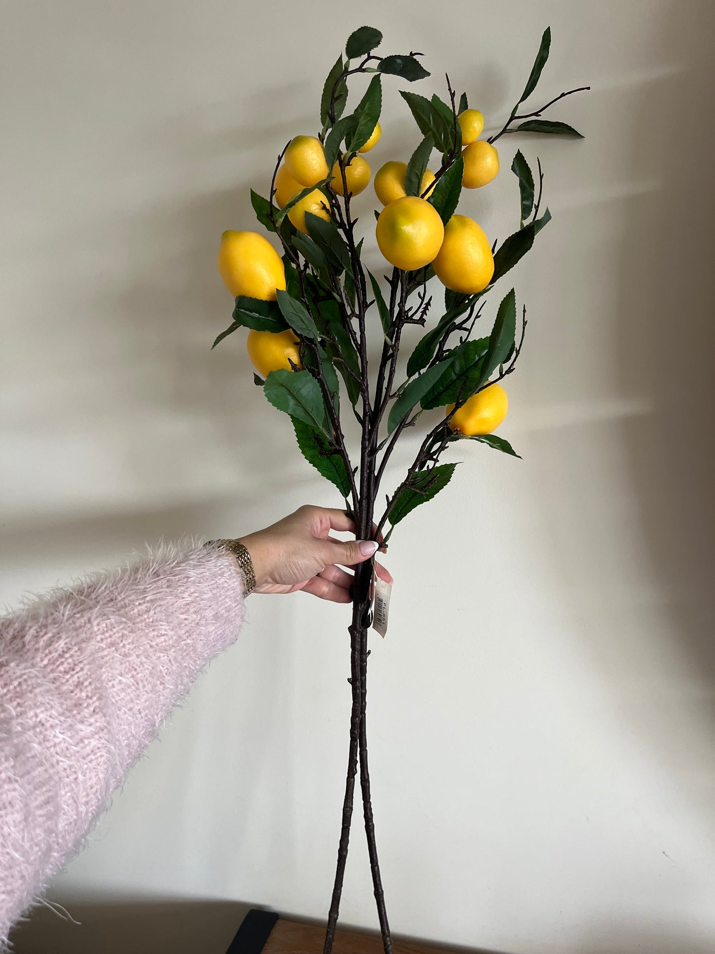 Lemon Branch 🍋