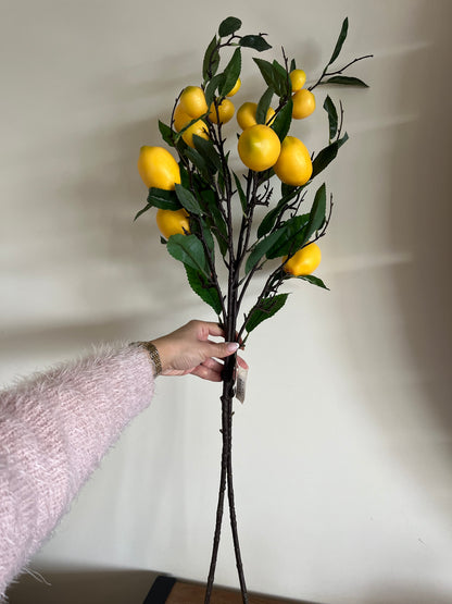 Lemon Branch 🍋