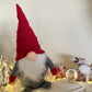 Christmas Gnomes