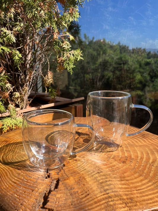 Double Glass Mug