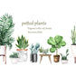 Potted Plants Wall Decal