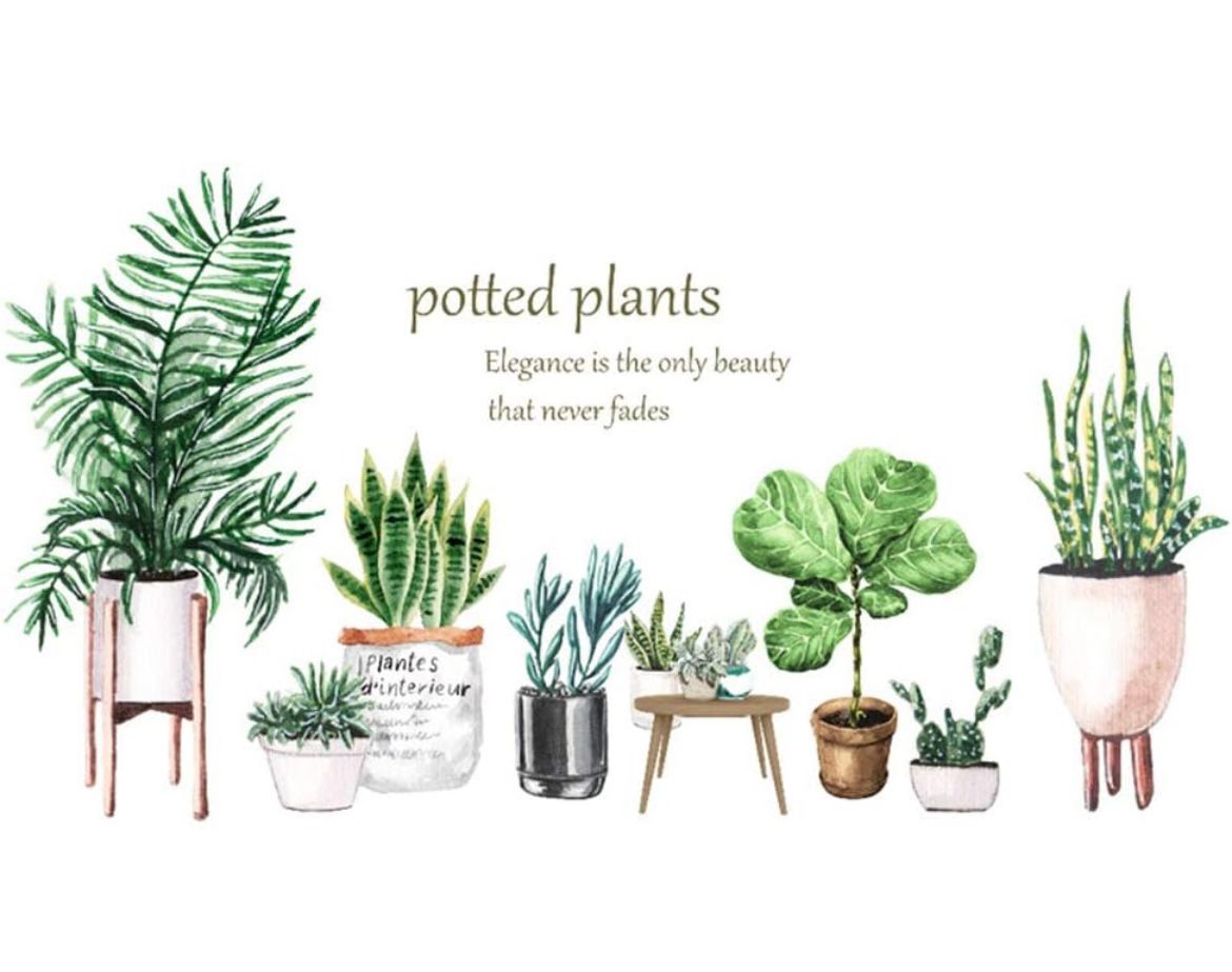 Potted Plants Wall Decal