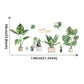 Potted Plants & Cactus Wall Decal