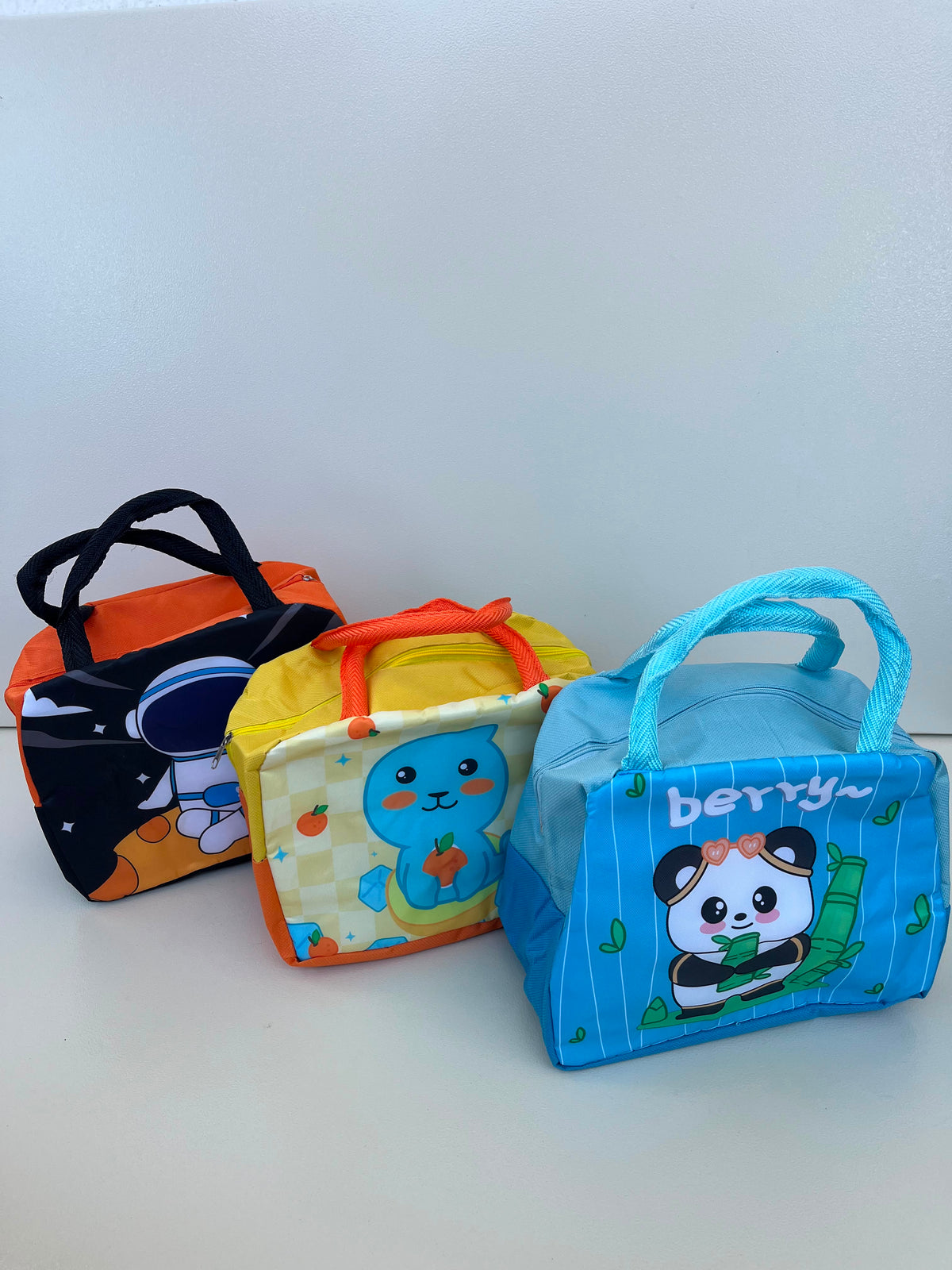 Kids Lunch Bag