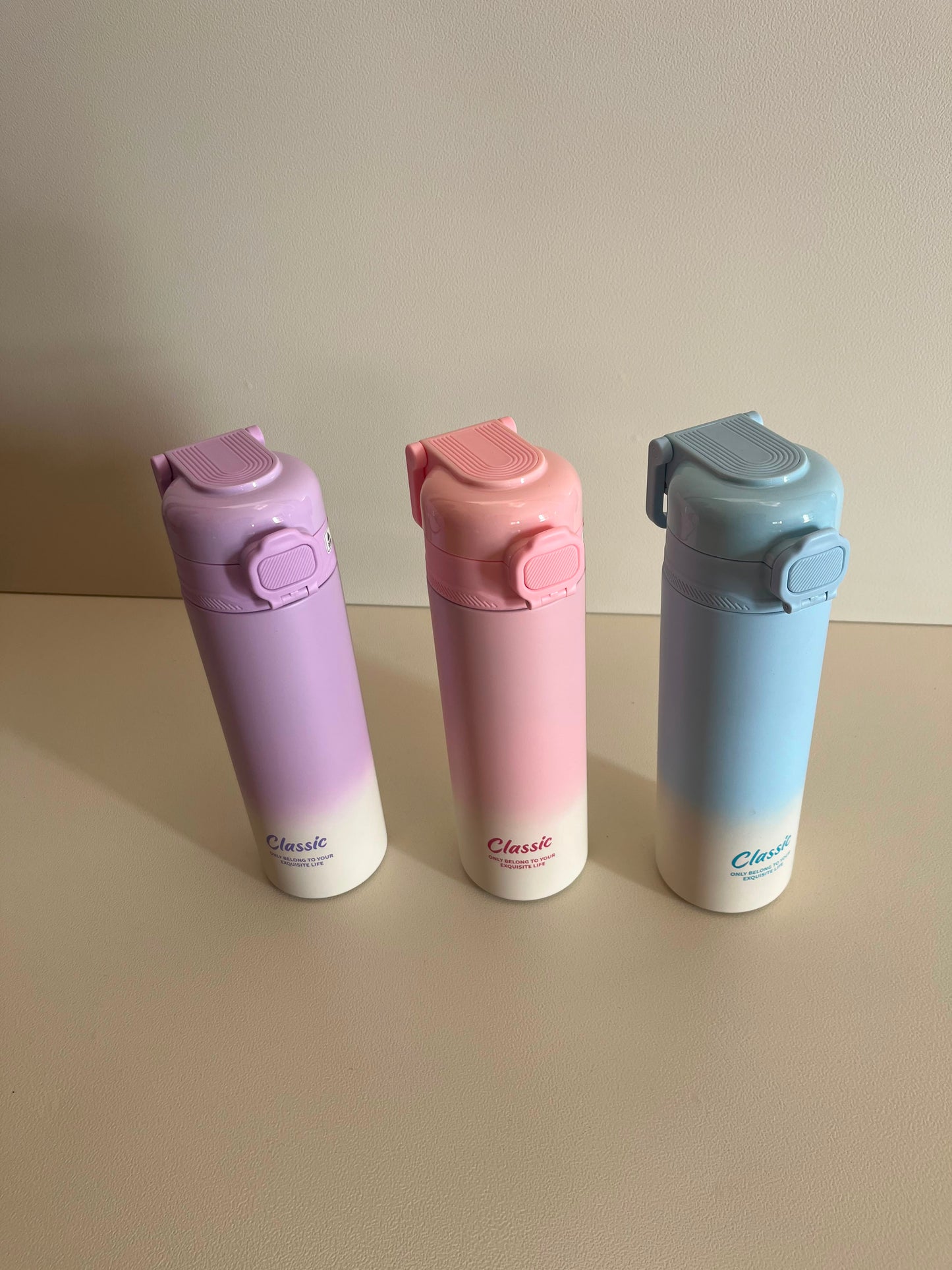 Stainless Steel Water Bottle 550ml