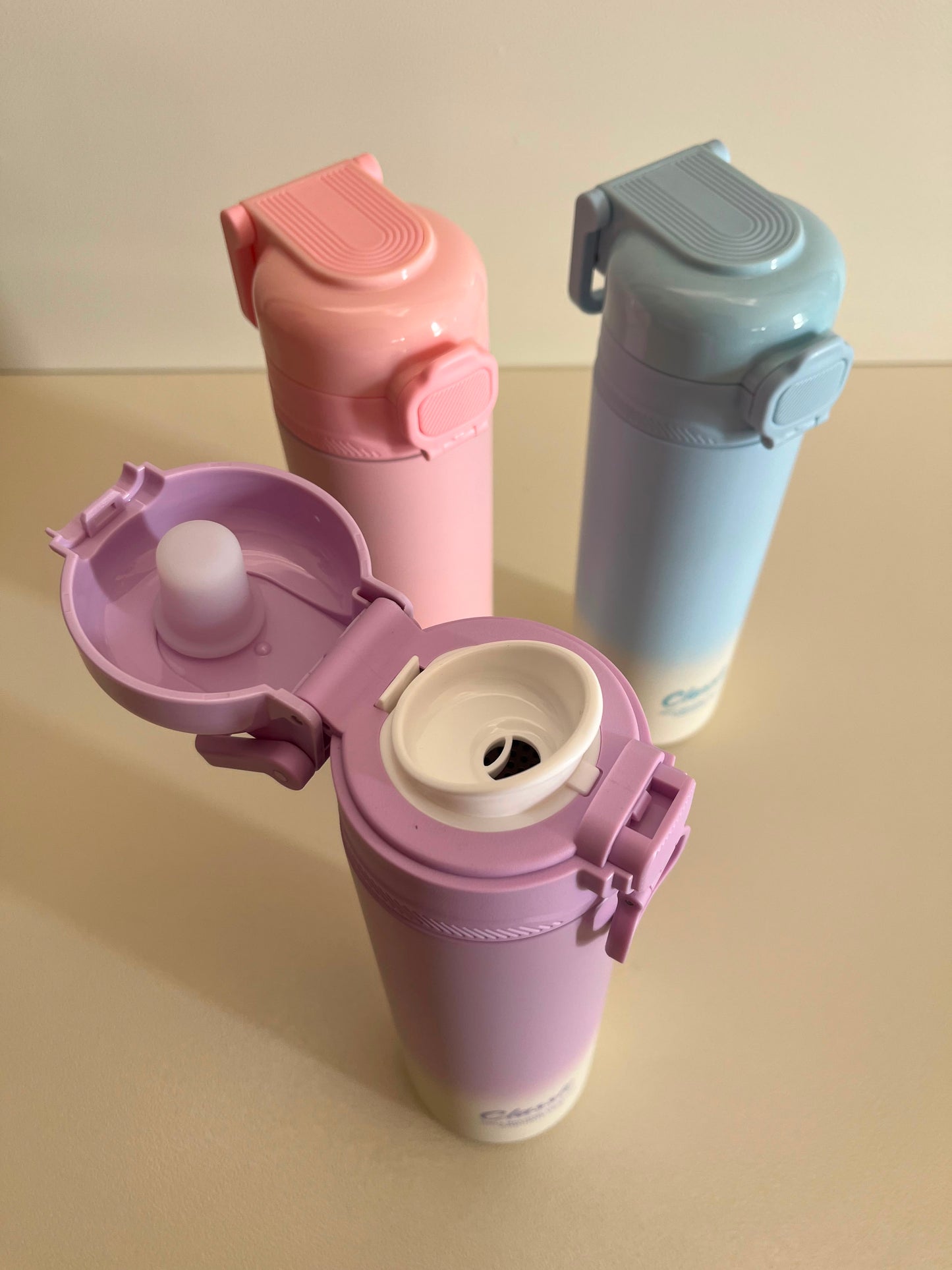 Stainless Steel Water Bottle 550ml