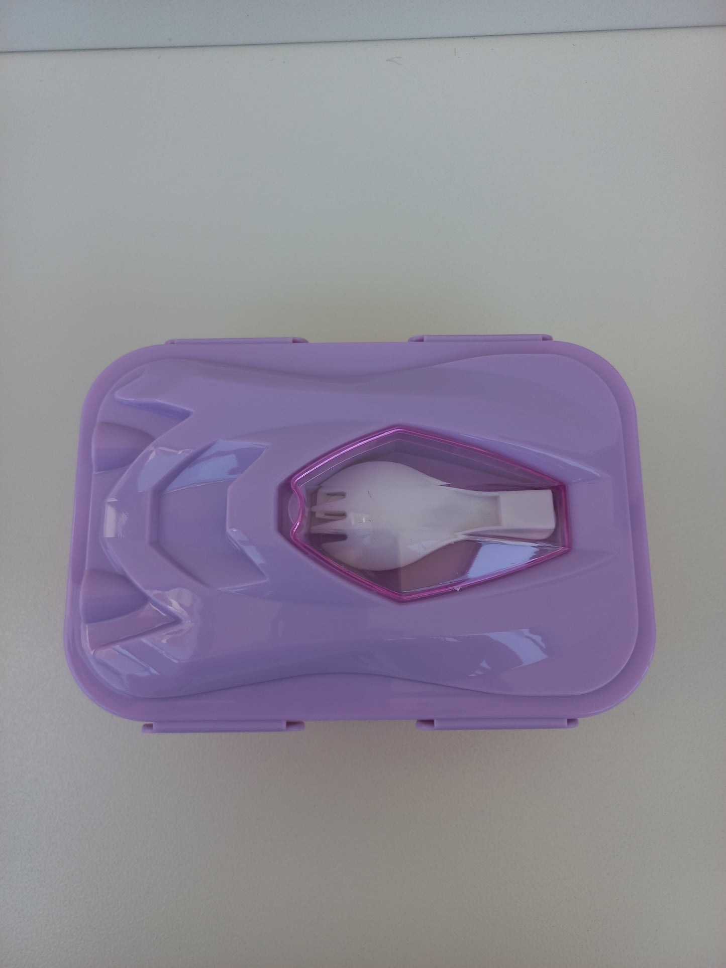 Kids Stainless Lunchbox