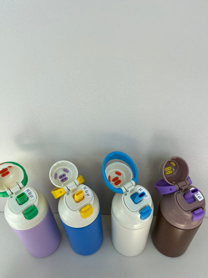 Double Wall Stainless Steel Bottle 550ml