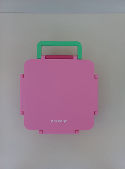 Kids Bento Big Lunchbox